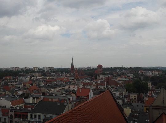 WYCIECZKA DO TORUNIA