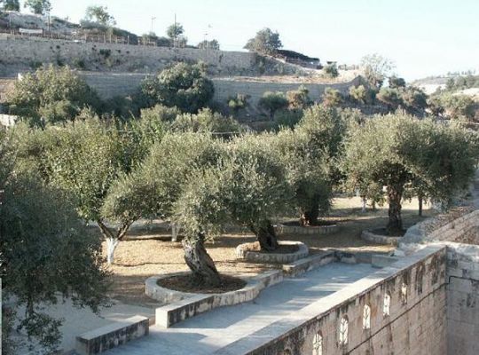 PROPOZYCJA PIELGRZYMKI DO ZIEMI ŚWIĘTEJ