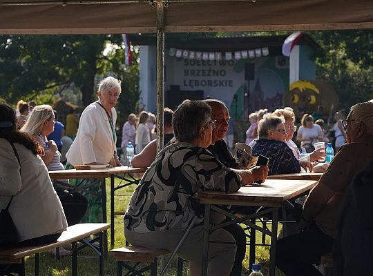 Relacja z Dożynek Sołecko-Parafialnych