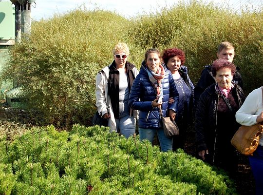 PIELGRZYMKA WDZIĘCZNOŚCI ZA DAR KANONIZACJI JANA PAWŁA WIELKIEGO